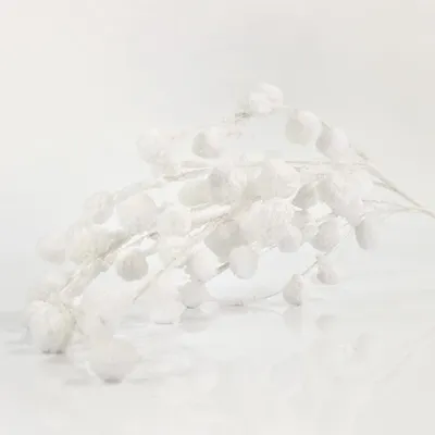 Obrázek produktu pro Eurolamp Vánoční dekorace bílá větvička, 105 cm, 1 ks
