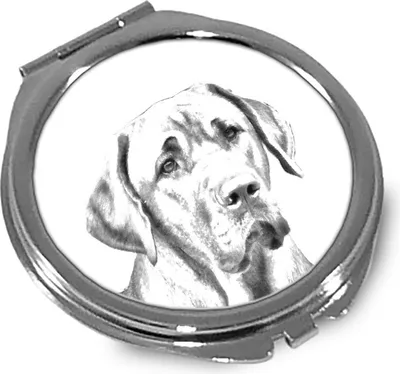 Produktbild von Art-Dog Taschenspiegel Schwarz-Lohfarbener Waschbärenhund