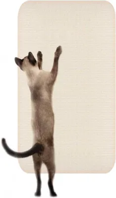 Immagine prodotto di Giocattolo per gatti in sisal da parete e da angolo - 1 pezzo - 50 x 80 cm