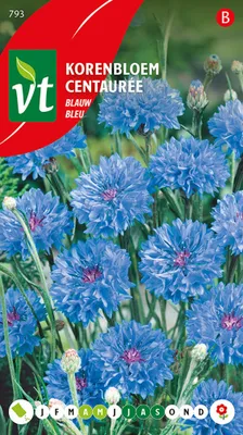 Image de Graines de centaurée Bleuet Des Champs - Environ 1 gr | VT_793