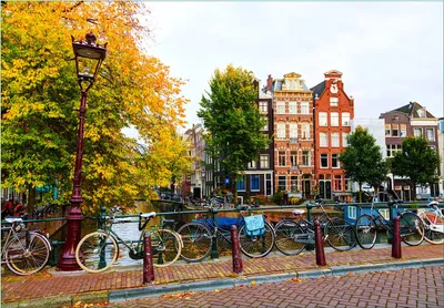 Produktbild von Wallario Fototapete Vliestapete, seidenmatte Oberfläche, einfache Verarbeitung, Größe 350 x 245 cm, Motiv Herbst in Amsterdam