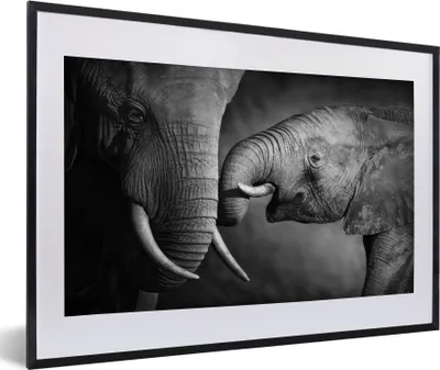 Produktbild von MuchoWow® Gerahmtes Poster Wildtiere - Elefant - Schwarz - Weiß - Porträt 60x40 cm - Poster mit Schwarzem Bilderrahmen Wandposter Rahmen Foto Bilder - Schlafzimmer - Plakat in Rahmen - Drucken