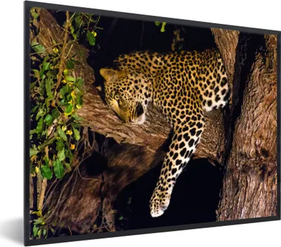Produktbild von MuchoWow® MuchoWow® Gerahmtes Poster Panther - Baum - Tiere 80x60 cm - Poster mit zchwarzem Bilderrahmen - Schwarzem - Mit Gestell