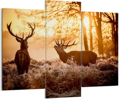 Produktbild von Bild auf Leinwand - Leinwandbild - Deer Heidekraut Tier - 130x100cm - Wand Bild - Wanddeko - Leinwanddruck - Bilder - Kunstdruck - Wanddekoration - Leinwand bilder - Wandkunst - CB130x100-3043