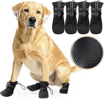 Image de INF Bottes Imperméables Antidérapantes pour Chien - Protection des Pattes S