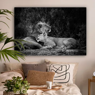 Produktbild von MuchoWow® - Leinwandbilder - Löwen - Schwarz - Wilde Tiere, Wandbild, Wanddeko Bilder Wohnzimmer, 120x80 cm