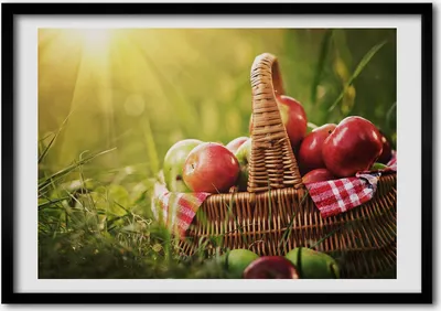Produktbild von Bild - Bilder - Bilderrahmen - 70 cm x 50 cm - MDF-Rahmen, Wandkunst Äpfel in einem Korb