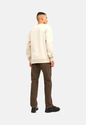 Produktbild von Jack & Jones Sweatshirt JJEBRADLEY Pullover