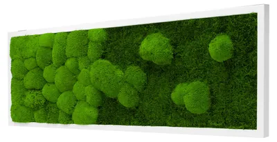 Produktbild von Moosbild River Design (100x35, weiß)