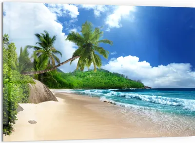 Produktbild von DEQORI Küchenrückwand Glas 60x40 cm 'Tropische Strandkulisse' Spritzschutz Bad Rückwand