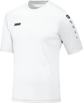Produktbild von Trikot Team KA JAKO