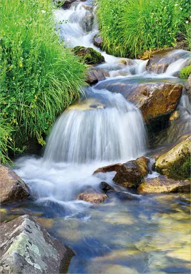 Produktbild von Wallario selbstklebendes Poster - Kleiner Bach über Steine, Größe: 70 x 100 cm