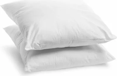 Image de Bleu Calin Lot de 2 Oreillers Ferme 60x60cm Anti-acariens