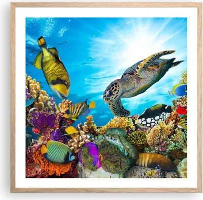 Produktbild von Gerahmtes Poster - Rahmen in heller Eiche - Riff Koralle Fisch - 60x60 cm - Wand Bild - Wanddeko - Wandbilder - Wandposter - Bilderrahmen - Bilder - Kunstdruck - Wandbild - P2NAC60x60-3704