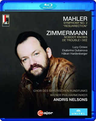 Obrázok produktu pre Gustav Mahler (1860-1911): (Blu-ray Video / Classic)