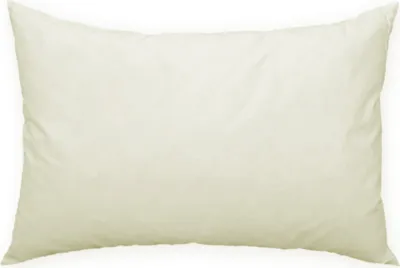 Produktbild von Füllkissen Federkissen 40x60 cm Kissenfüllung Kopfkissen Deko Kissen Sofakissen Federn