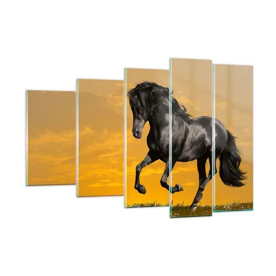Produktbild von Bilder auf glas - Tiere Pferd Laufen Wiese - 150x100cm - Glasbilder - Wandbilder - Kunstdruck - zum Aufhängen bereit - Wanddekoration aus Glas - Glas Bilder - Wandbild auf Glas - GEG150x100-2248