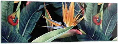 Produktbild von Bilder auf glas - Einteilig - Pflanze Tropisch Blume - 160x50cm - Glasbilder - Wandbilder - Bilder - zum Aufhängen bereit - Wanddekoration aus Glas - Glas Bilder - Wandbild auf Glas - GAB160x50-5093