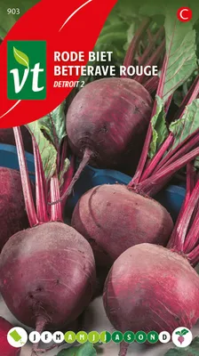 Produktbild von Rote Bete Detroit 2 Samen - Ca. 5 gr | VT_903