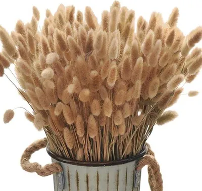 Produktbild von Famanu Trockenblumen 200 Stück - Pampasgras, 30 cm, Boho-Stil