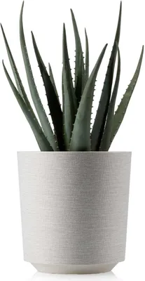Produktbild von HowHomely | Pflanzkübel Aloe Texelle, Beige - 19,5 x 20 cm - Blumentöpfe, Stilvoll, Praktisch, Modern