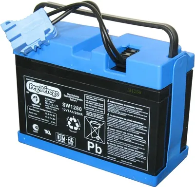 Image de Batterie Peg Pérego 12 Volts/8 Ah