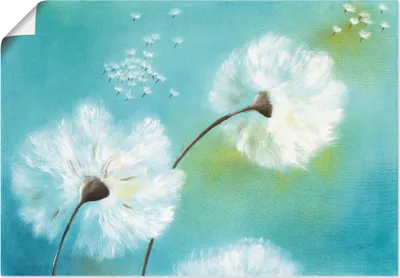 Produktbild von ARTland Poster Pusteblumen Größe: 70x50 cm