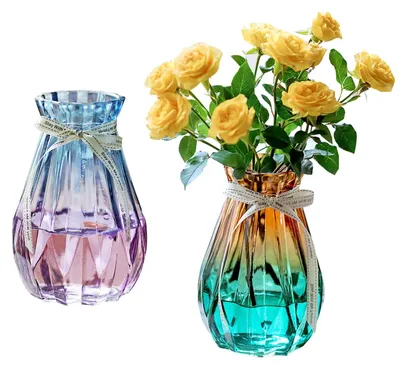 Immagine prodotto di Omgoods - 2 vasi in vetro per fiori, design moderno