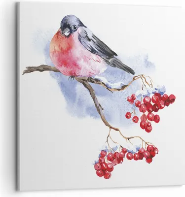 Produktbild von Bild auf Leinwand - Leinwandbild - Einteilig - Dompfaff auf Zweig - 50x50cm - Wand Bild - Wanddeko - Wandbilder - Leinwanddruck - Bilder - Wanddekoration - Leinwand bilder - Wandbild - AC50x50-4187