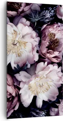 Produktbild von Bild auf Leinwand - Leinwandbild - Einteilig - Pfingstrosen Veilchen Blumen - 65x120cm - Wand Bild - Wanddeko - Wandbilder - Leinwanddruck - Bilder - Wanddekoration - Leinwand bilder - PA65x120-5076