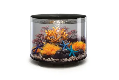 Produktbild von Dekoratives 35-liter-aquarium mit schwarzem rahmen Oase TUBE 35 MCR BLACK