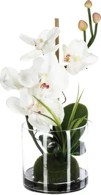 Produktbild von Künstliche orchideen komposition glasvase h37cm - Atmosphera créateur d'intérieur