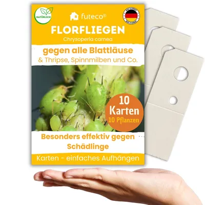 Produktbild von Florfliegenlarven gegen Blattläuse, Spinnmilben, Thripse & Co. - 10 Karten für 10-20 Pflanzen - Karten zum einfachen Aufhängen