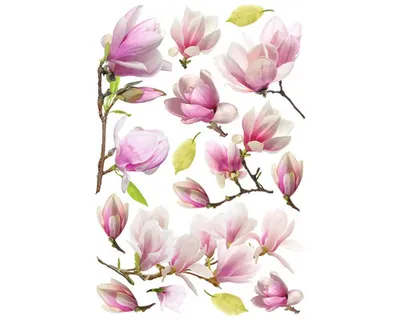 Obrázek produktu pro Samolepka na zeď Magnolie 45x65 cm