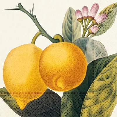 Imagen del producto de Servilleta de papel con aroma a limón