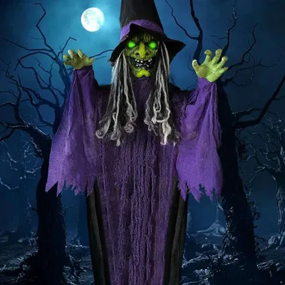 Image de Halloween Décoration sorcière avec lumières LED effets sonores 360cm