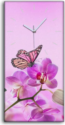 Produktbild von Wandbild Leinwand Bilder mit Uhr 30x60 Malerei Blumen Natur Schmetterling - weiße Hände