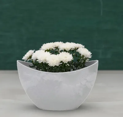 Produktbild von Große Vintage Outdoor Pflanzschale oval 39 cm hell-grau