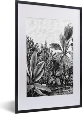 Produktbild von MuchoWow® Gerahmtes Poster Pflanzen - Natur - Gestaltung - Illustration - Ernst Haeckel 40x60 cm - Poster mit Schwarzem Bilderrahmen Wandposter Rahmen Foto Bilder - Poster in Rahmen