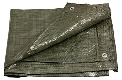 Obrázek produktu pro Levior PE plachta zakrývací 6x10m 70g/1m2 zelená