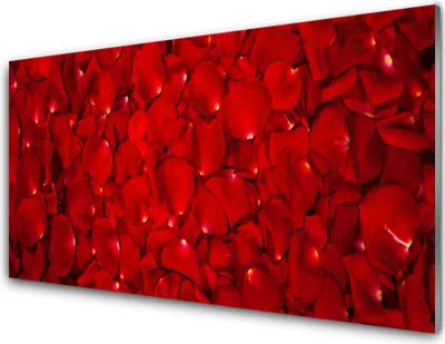 Produktbild von Acrylglasbilder 100x50 Wandbild Druck Blütenblätter Pflanzen