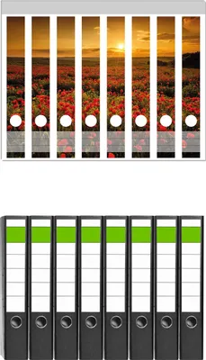 Produktbild von Wallario 8 Stück schmale Ordner inkl. Klebeetiketten mit Motive Mohnblumenwiese bei Sonnenuntergang am Abend -  Set mit Rückenschildern / Ordnerrücken Stickern