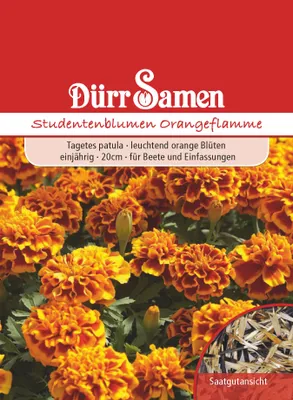 Produktbild von Studentenblume Orangeflamme | Studentenblumensamen von Dürr Samen
