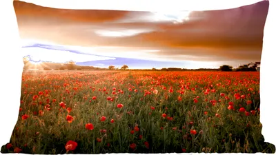 Produktbild von MuchoWow® Zierkissen Sofakissen Wohnzimmer Dekokissen 50x30 cm Sonnenuntergang über den Mohnblumen in England - Wohnzimmerdekoration - Polster mit Photo