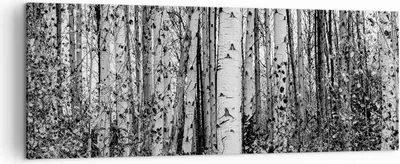 Produktbild von Bild auf Leinwand - Leinwandbild - Einteilig - Birken Wald Monochrom - 140x50cm - Wand Bild - Wanddeko - Wandbilder - Leinwanddruck - Bilder - Wanddekoration - Leinwand bilder - AB140x50-4643