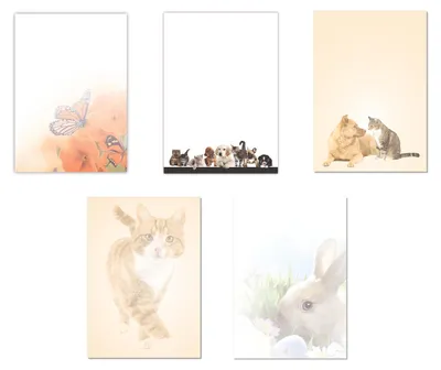 Produktbild von 5 x 5 Blatt Motivpapier Briefpapier Mix DIN A4 Schmetterlinge Hund Katze Maus Hase (Tiere-5241)