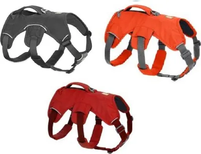 Produktbild von Ruffwear Web Master Harness Geschirr, Farbe:Blaze Orange, Größe:L / XL
