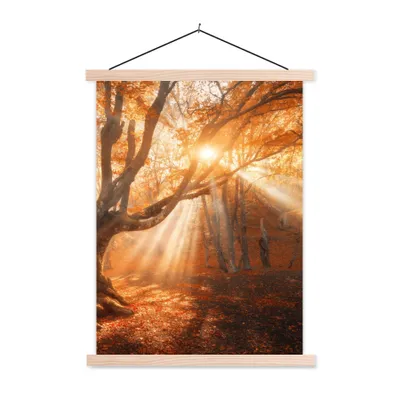 Produktbild von MuchoWow® Textilposter Baum - Natur - Herbst 120x160 cm mit holzfarbenen Rahmen - Plakatkarton