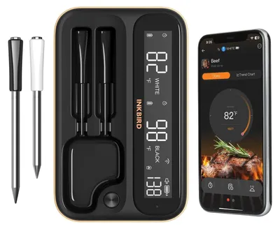 Productafbeelding van Draadloze vleesthermometer - 2 sondes - RVS - Bluetooth 5.4 en wifi
