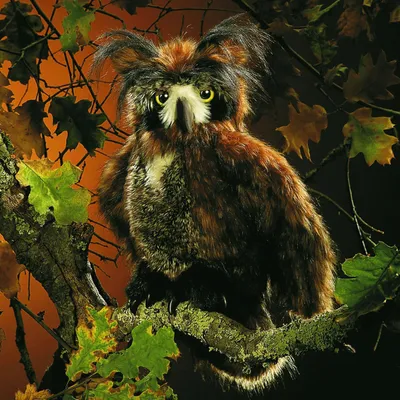 Produktbild von Folkmanis Handpuppe Vogel, Eule mit beweglichen Augendeckeln 2403